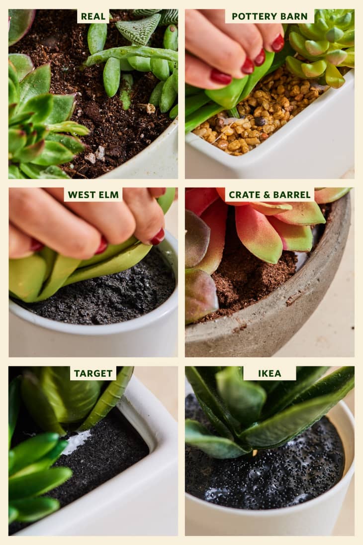 The Best Fake Succulents IKEA, Target & 3 Others Apartment Therapy