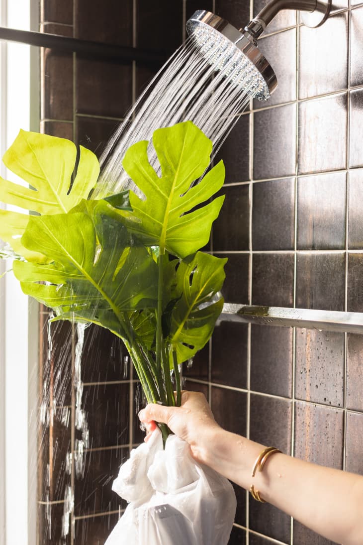 How to Clean Fake Plants: Step by Step with Pictures | Apartment Therapy