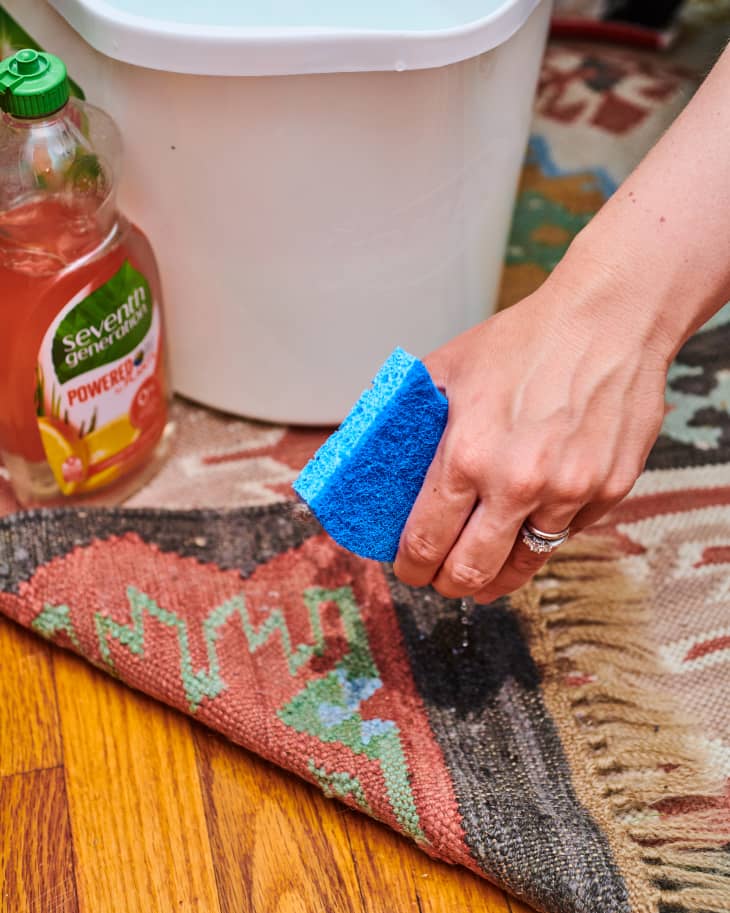 How to Clean a Rug Step by Step with Photos Apartment Therapy