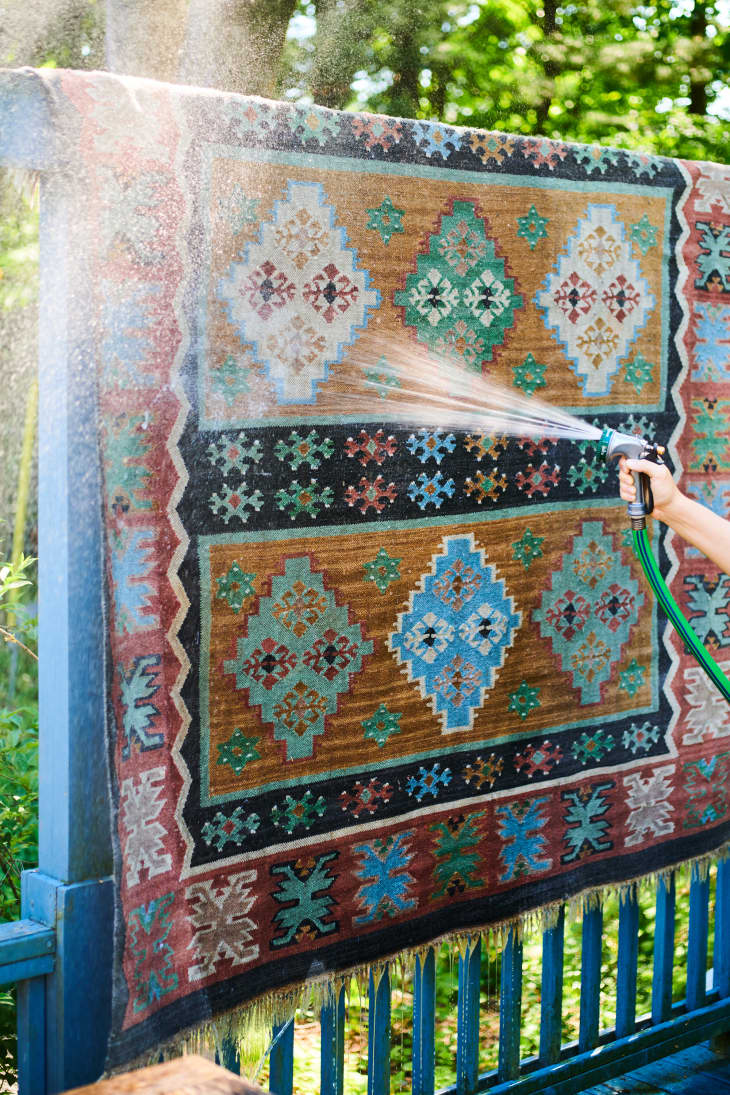 How to Clean a Rug Step by Step with Photos Apartment Therapy