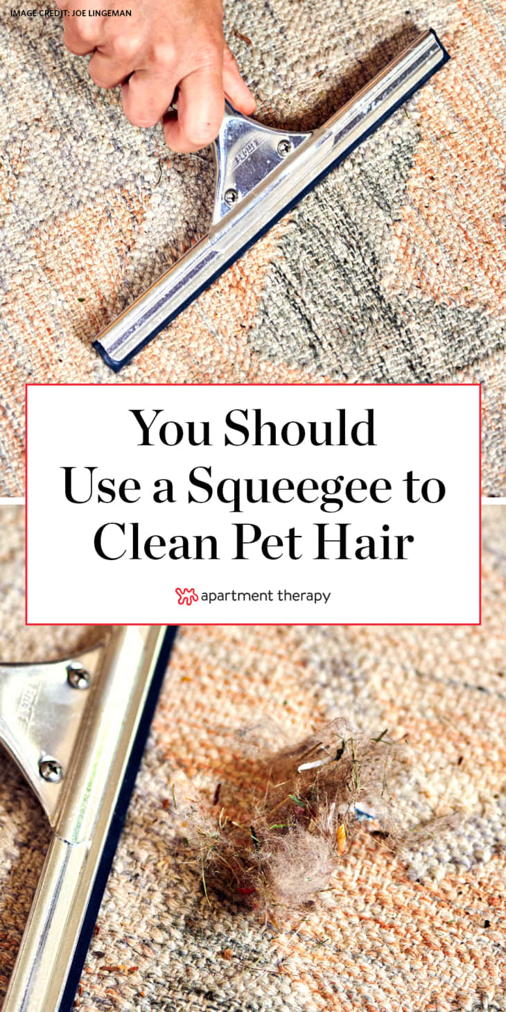 How to Use a Squeegee to Clean Your Carpet and Remove Pet Hair