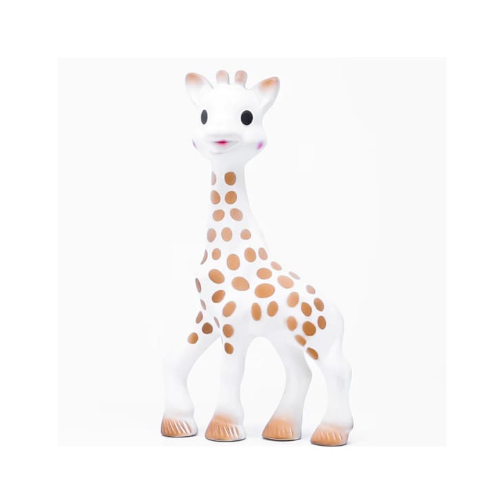 Sophie the giraffe story 2025