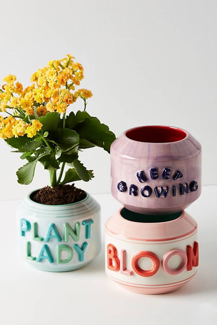 Anthropologie Planter Summer Sale Apartment Therapy
