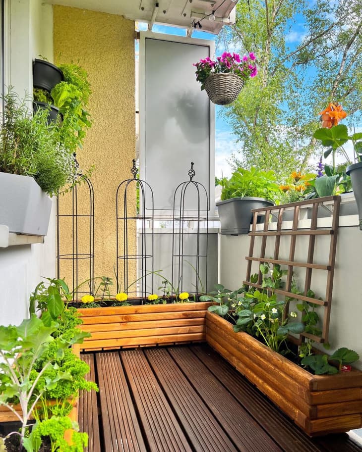 20 Balcony Garden Ideas - How to Grow Plants on a Small Balcony ...
