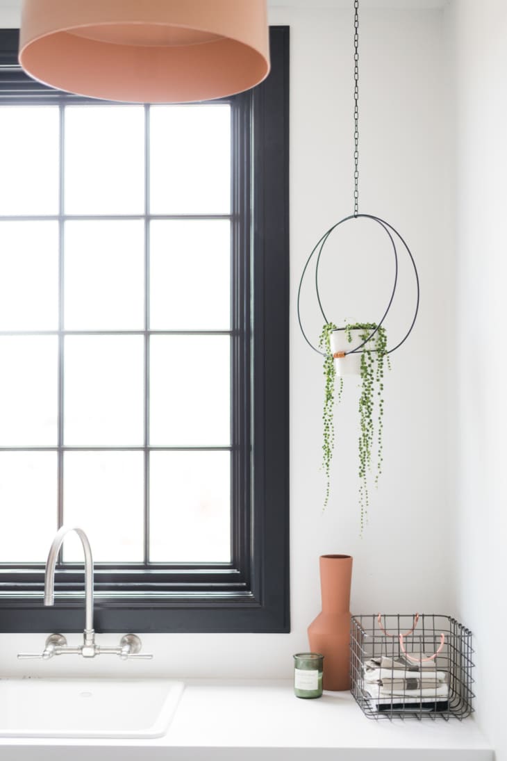 Picture of DIY Creative Ways To Hang Your Plants | Apartment Therapy
