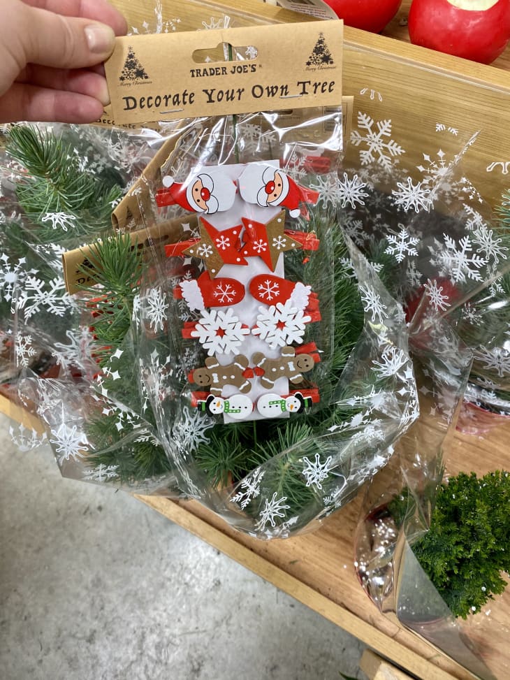 Trader Joe's Seasonal Potted Mini Christmas Tree Small Space