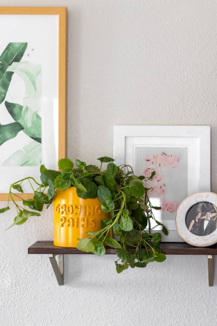 10 Cheap and Stylish DIY Planters | Apartment Therapy