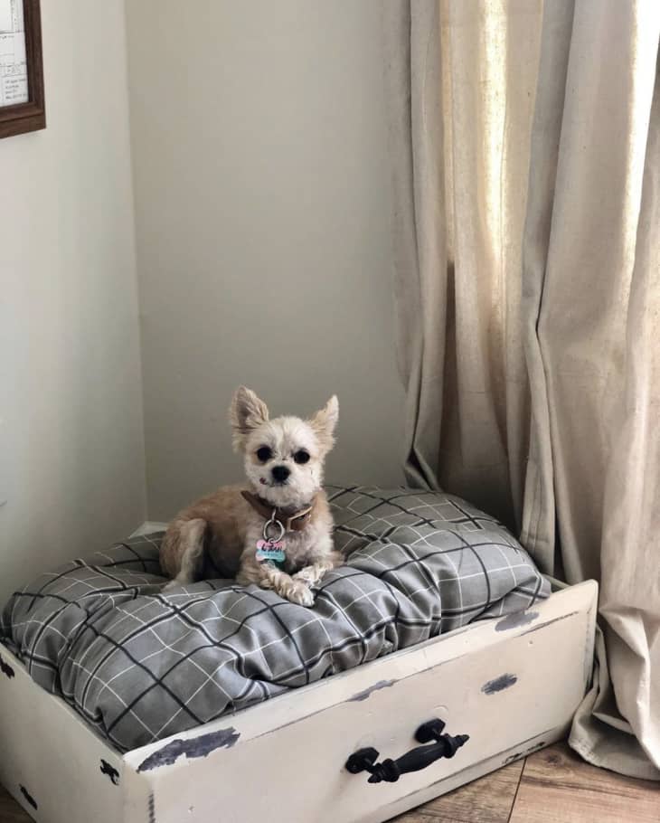 Princess dog 2024 bed diy