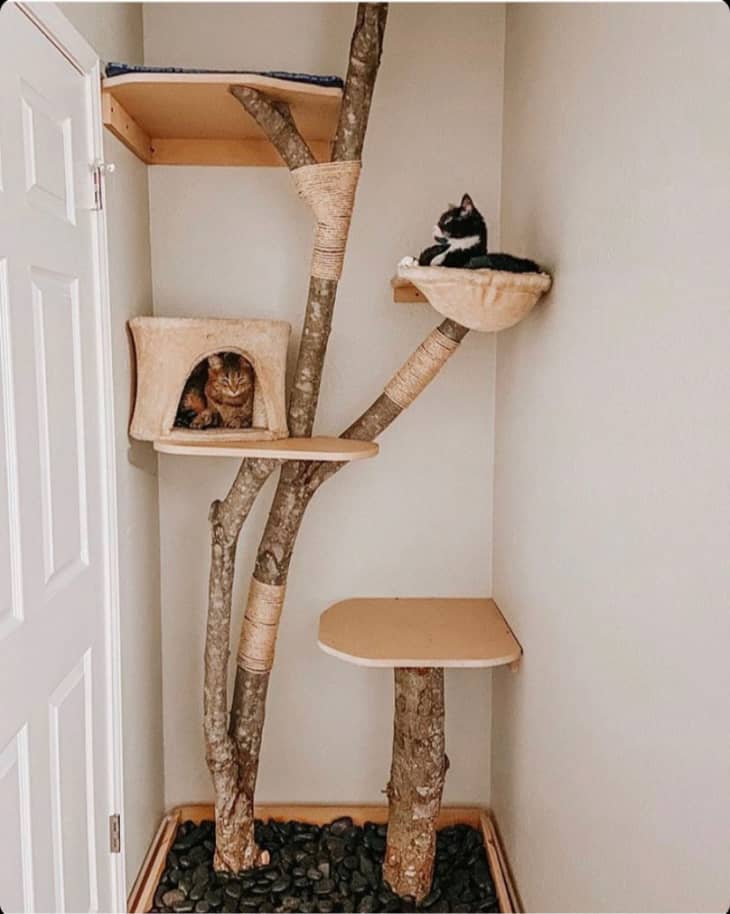 Diy Cat Furniture Ideas