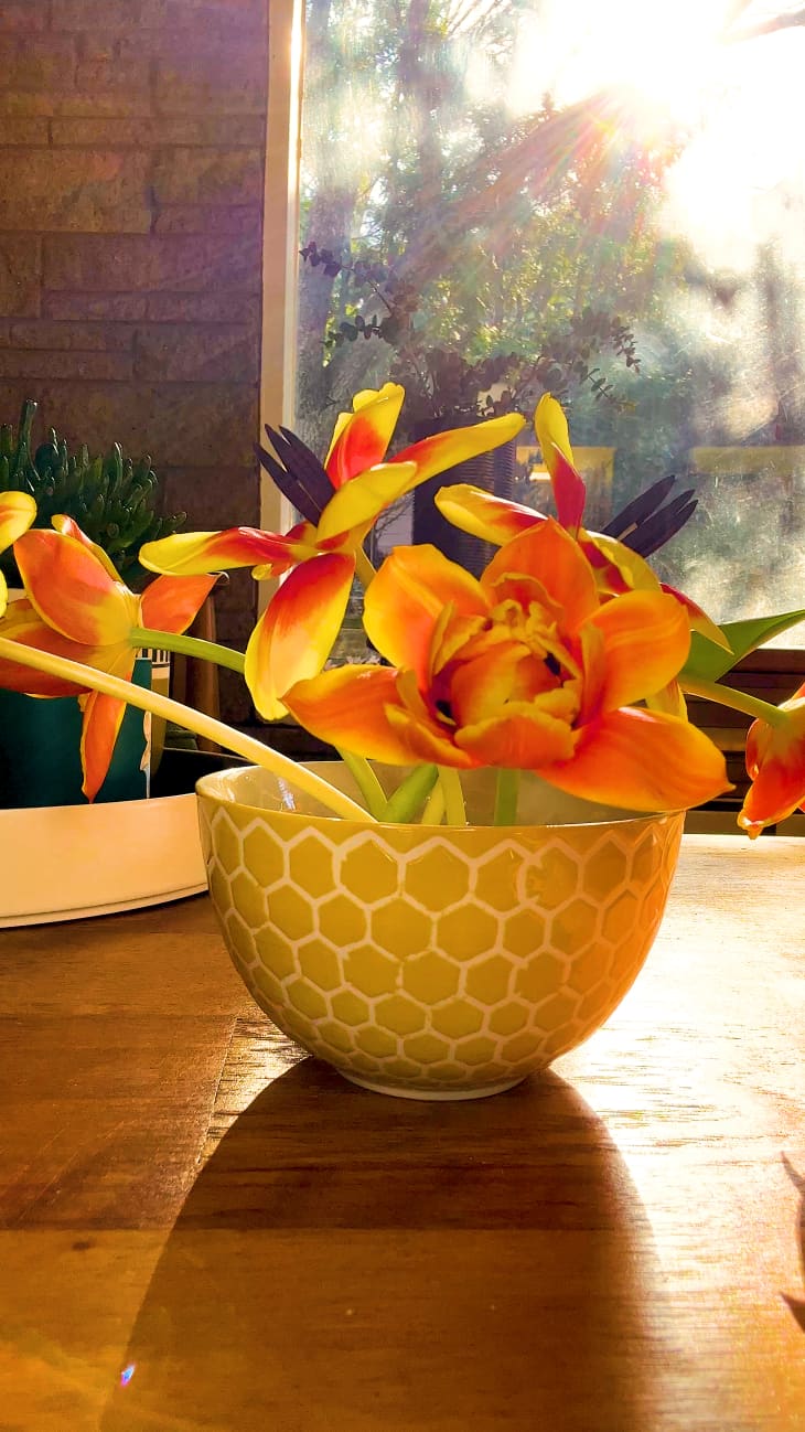 How to Use a Flower Frog Apartment Therapy