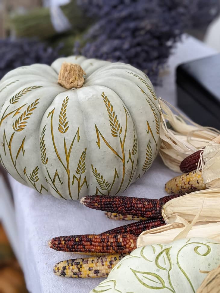 8 Easy Pumpkin Etching Ideas How to Etch a Pumpkin Apartment Therapy