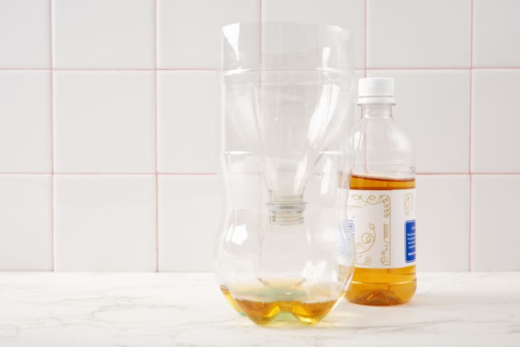 3 Easy DIY Homemade Fly Traps That Actually Work | Apartment Therapy