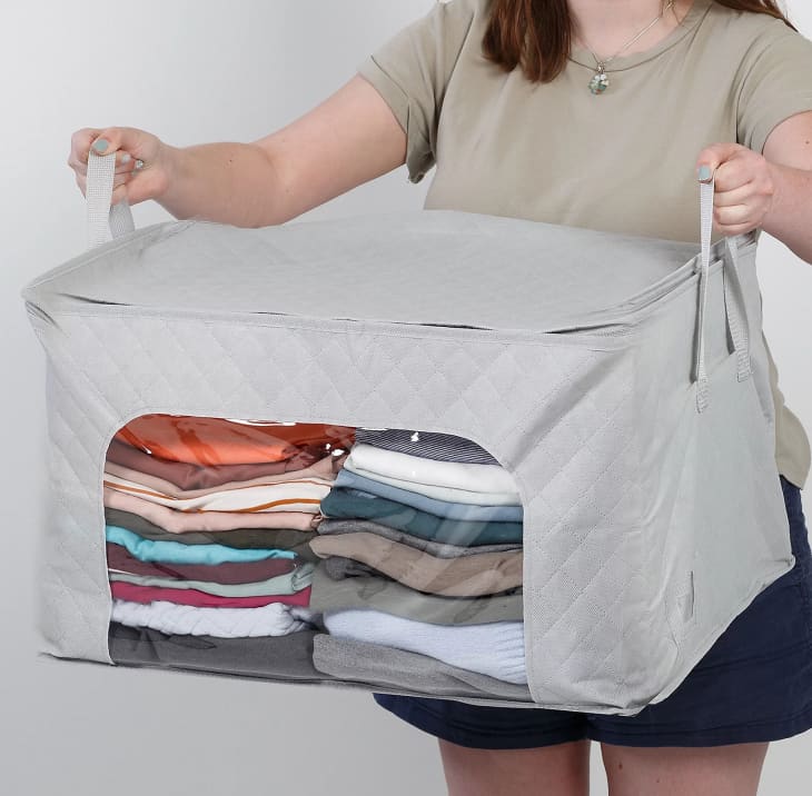 HoneyCanDo Clothes Storage Bags QVC Reviews Apartment Therapy
