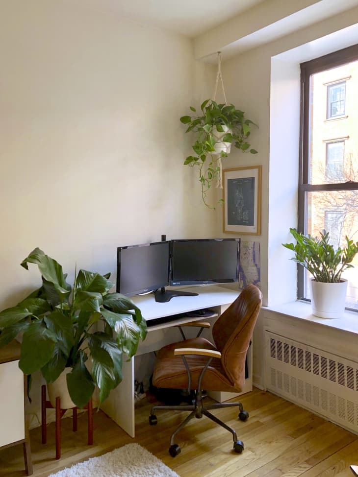 Small NYC Apartment Rental Filled With Plants | Apartment Therapy