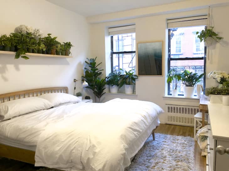 Small NYC Apartment Rental Filled With Plants | Apartment Therapy