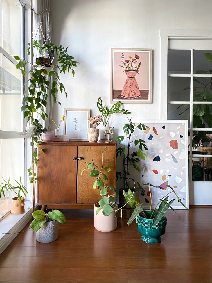 Plant therapy san francisco Idea