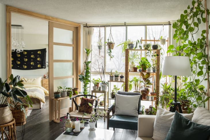 A Small Toronto Condo Filled With Plants | Apartment Therapy