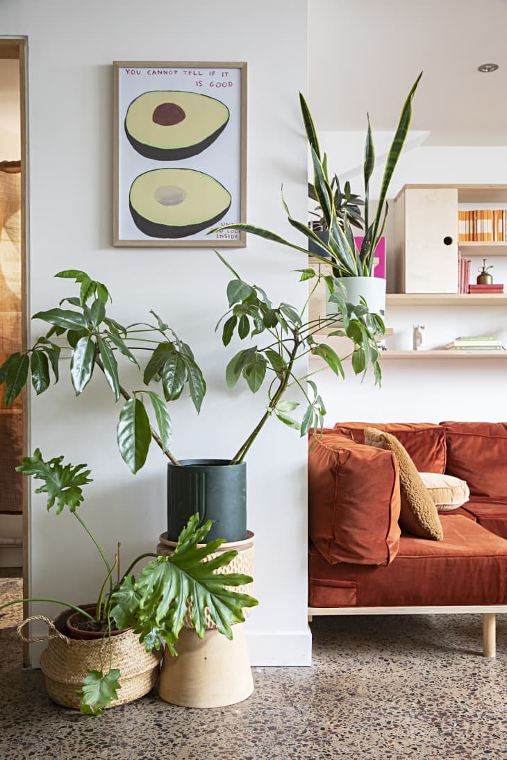 See A Renovated Loft With Built-in Storage & Plywood Shelves 