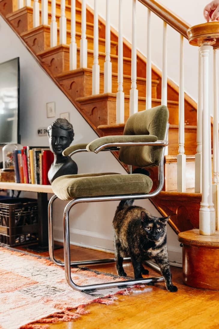 See Inside This Artist and Designer’s Philly Rowhome | Apartment Therapy