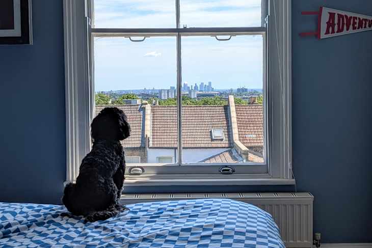 Dulux’s Vast Lake Makes This Shared Bedroom Feel Calming | Cubby