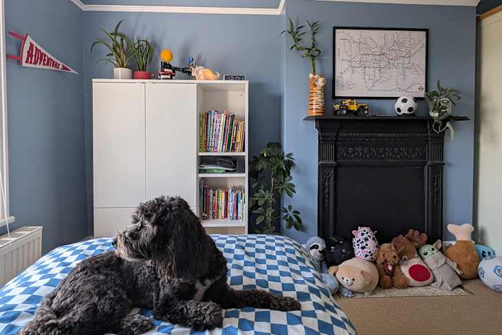 Dulux’s Vast Lake Makes This Shared Bedroom Feel Calming | Cubby