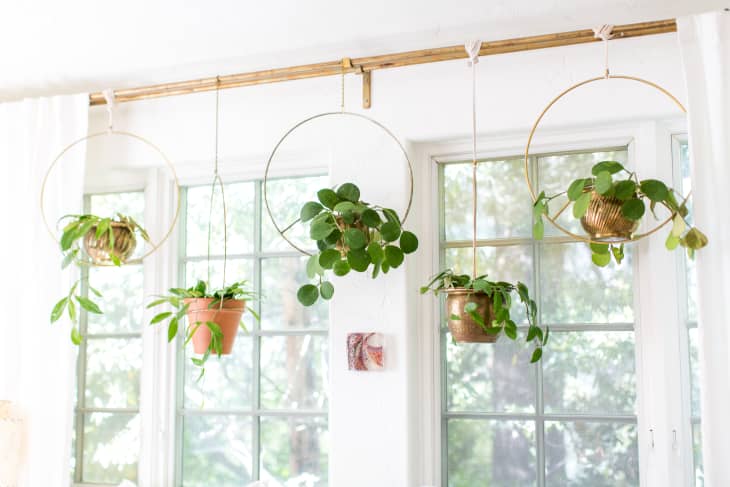 Chain Upgrade To Make Hanging Planters Look More Expensive 