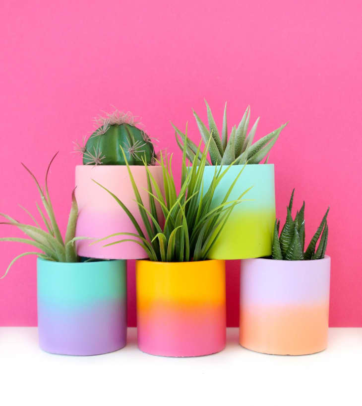 How to Decorate With Color at Home 101 Different Ways | Apartment Therapy