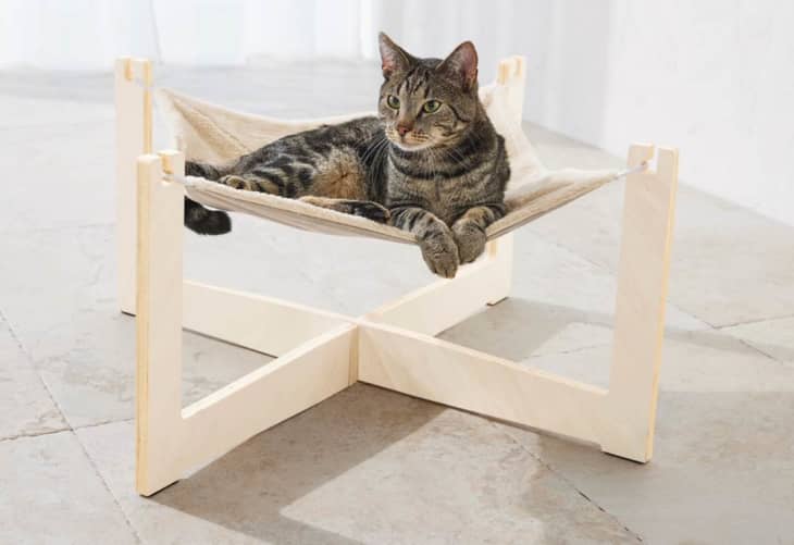 Lidl Has Brought Back Its 20 Dog Canopy Bed So Your Pup Can Enjoy