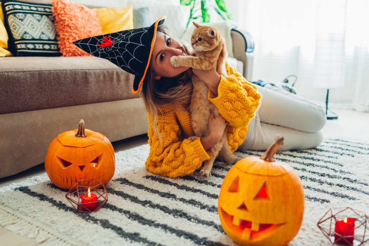 Pet Halloween Costume Tips: How to Train Your Pet to Like a Halloween ...