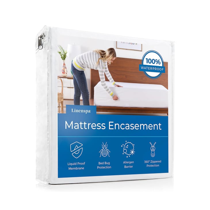 How to Prevent Bed Bugs — 7 Items Experts Apartment Therapy