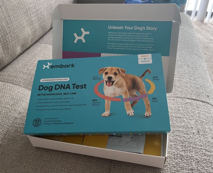 Embark vet dna sales test