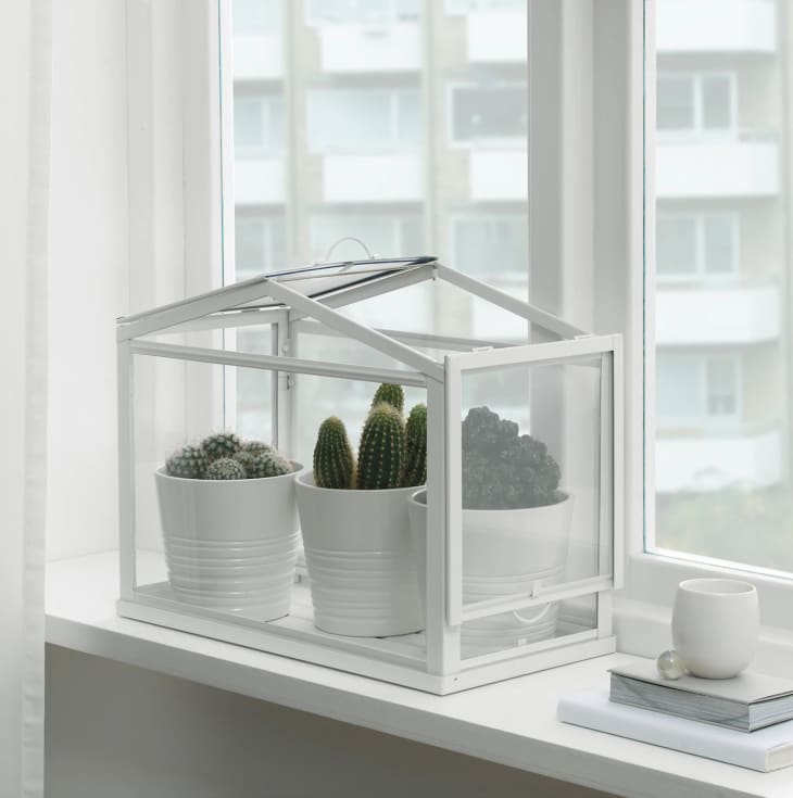 The Best Plant Accessories to Buy at IKEA Apartment Therapy