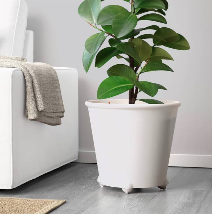 The Best Plant Accessories to Buy at IKEA Apartment Therapy