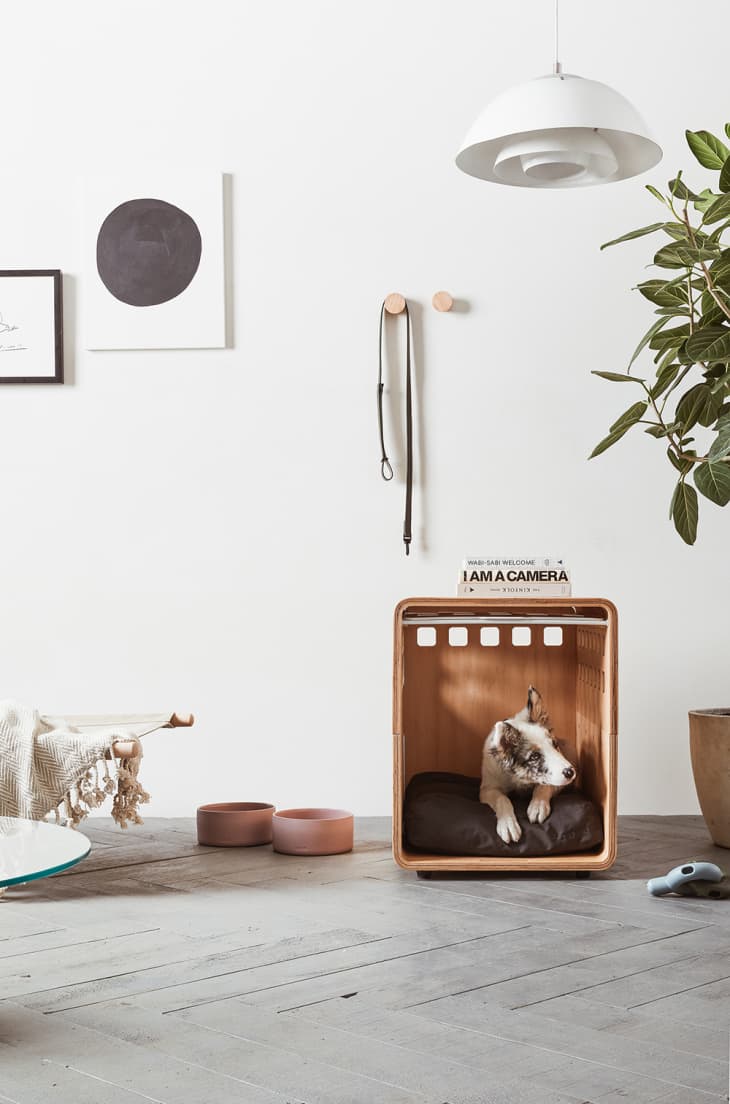 Attractive store dog crate