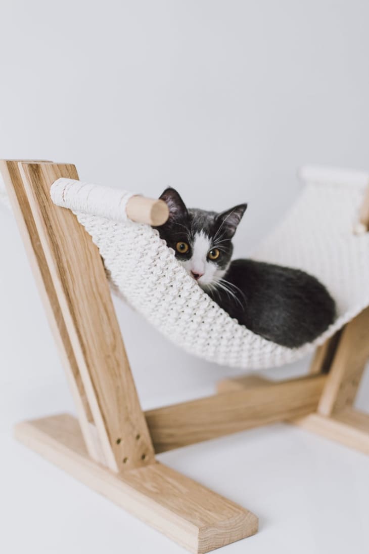 macrame cat toy