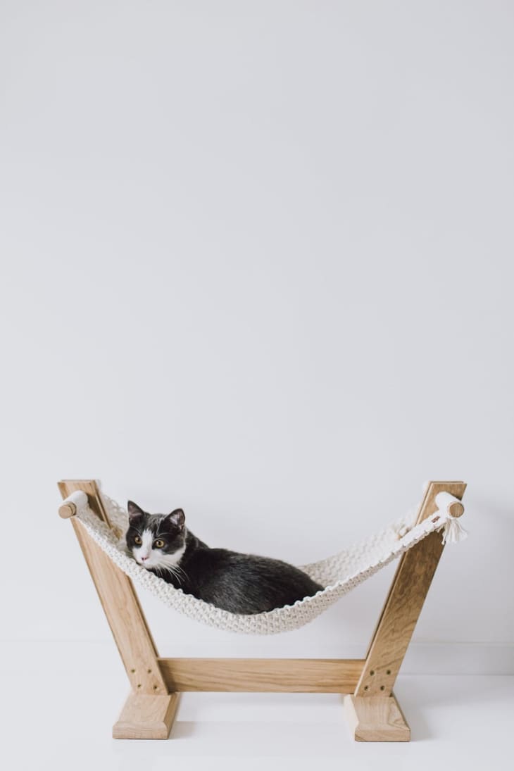 Macrame Cat Hammock Bed Etsy Maka Art Crafts Apartment Therapy