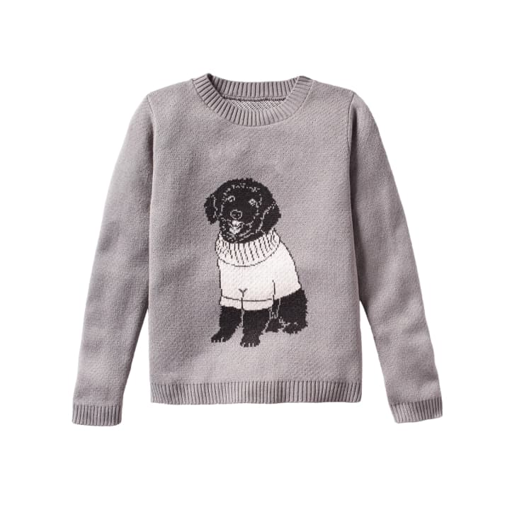 Custom sweaters shop for dogs