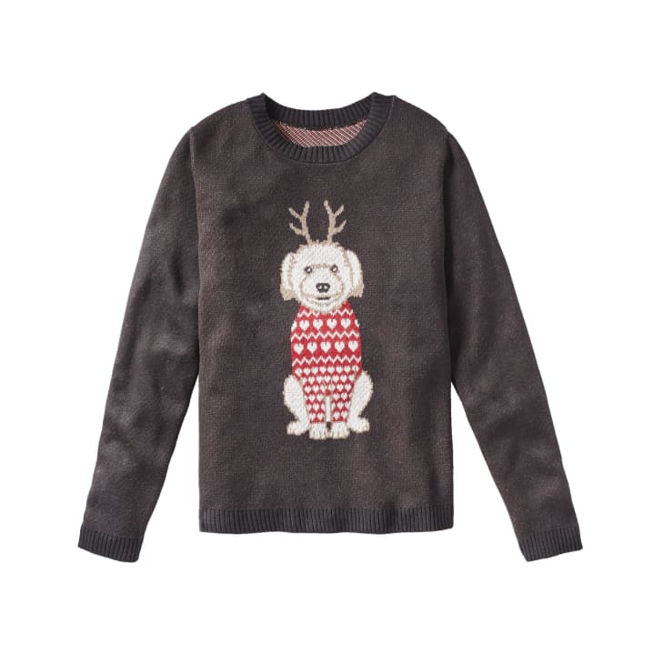 Sweater Hound Custom Dog With Sweater Sweater Apartment Therapy