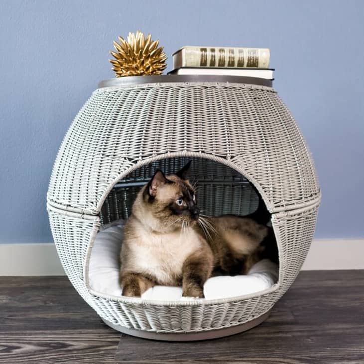 End table cat bed best sale