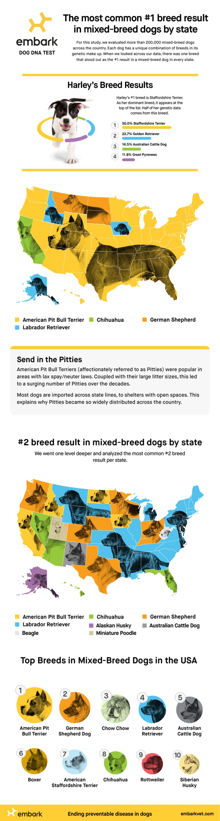 Most popular best sale mixed breeds