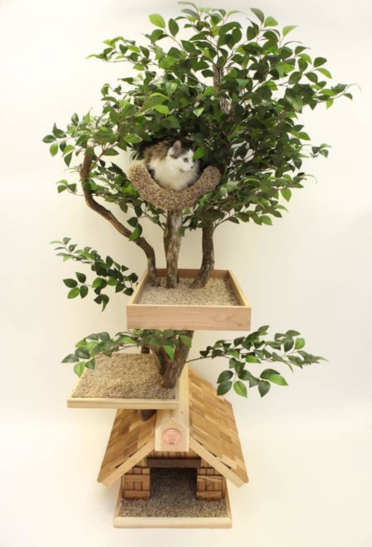 Cat tree 2024 with leaves