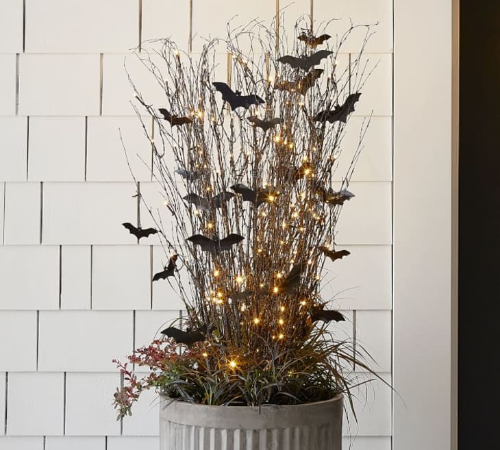 Pottery Barn Halloween Home Decor 2020 | Apartment Therapy