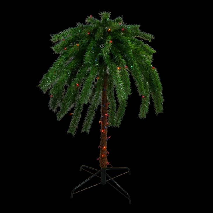 Home Depot Christmas Palm Trees Apartment Therapy