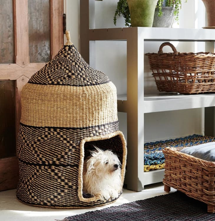 Laundry basket dog outlet bed