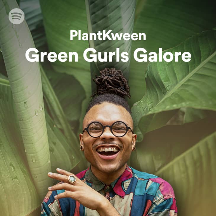 Spotify Plant Playlists | Apartment Therapy