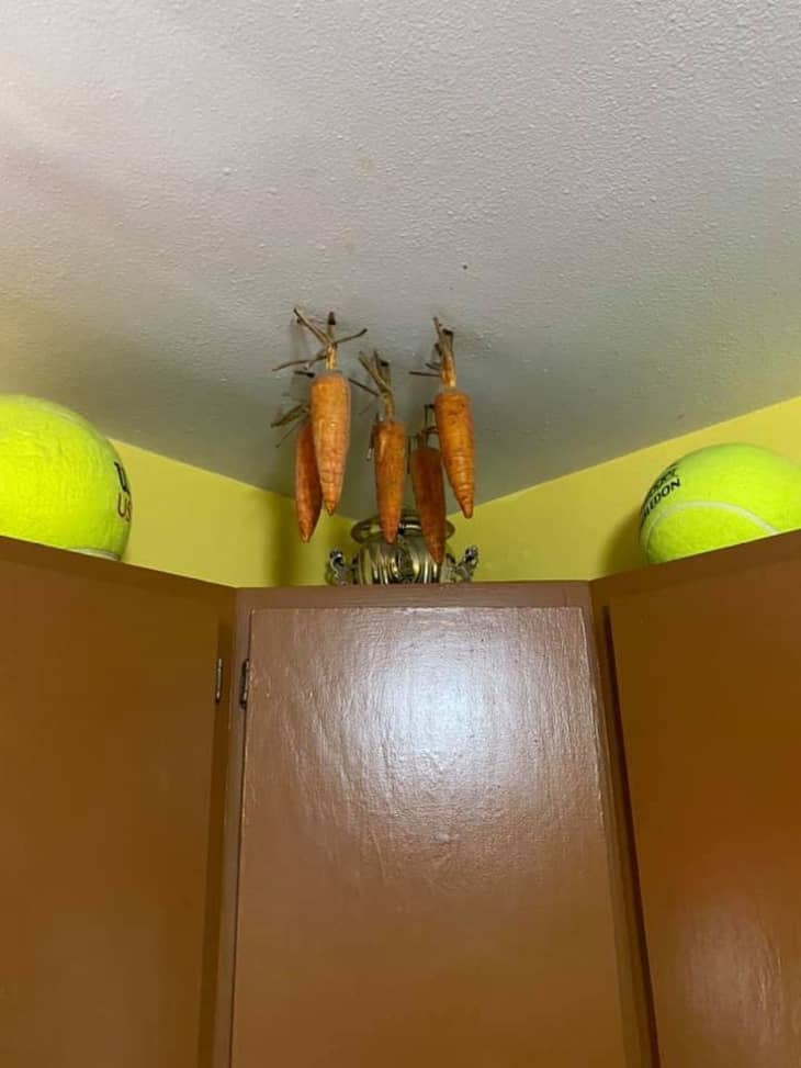 Ceiling Carrots House Hunting The Kitchn