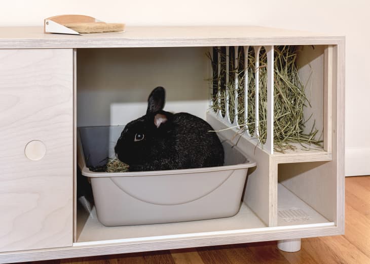 A Litter Box For Bunnies Is Cleverly Disguised As Stylish