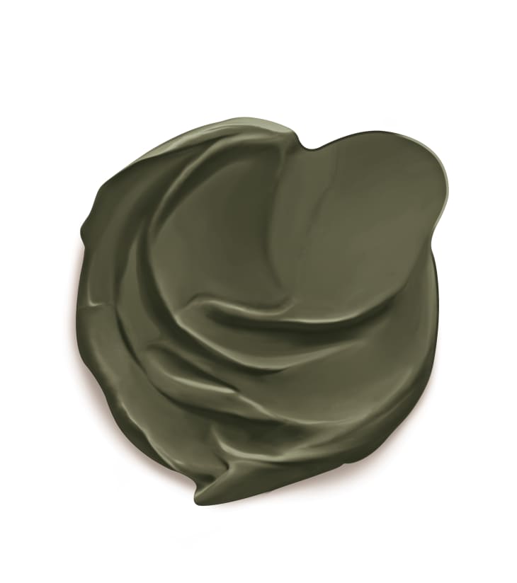 Dutch Boy’s 2024 Color of the Year Is “Rooted in Comfort” Apartment