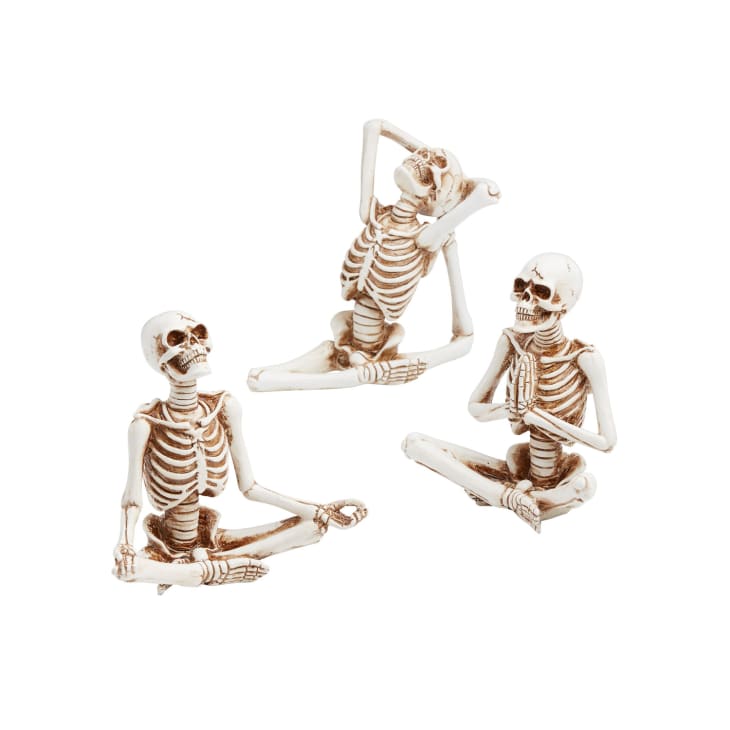 This World Market Yoga Skeleton Set Is On Sale for $23 | Apartment Therapy