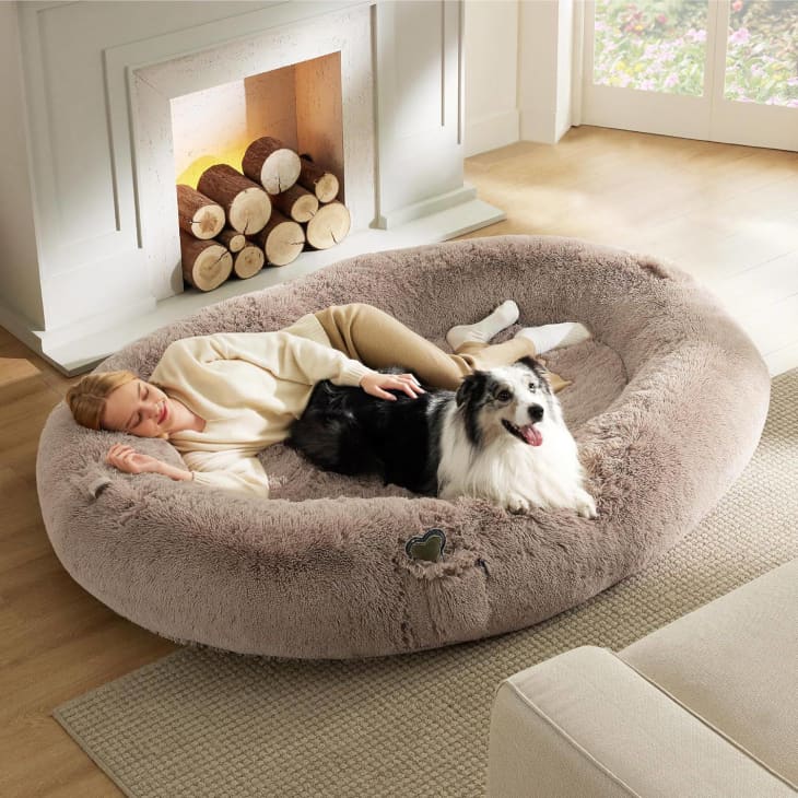 Extra large dog beds hot sale costco